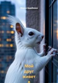 Мой друг живет в коробке