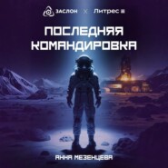 Последняя командировка