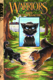 Бич: путь к власти