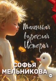 Маленькая взрослая история