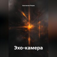 Эхо-камера