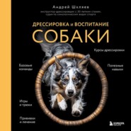 Дрессировка и воспитание собаки