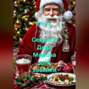 «Секреты Деда Мороза для хозяйки»