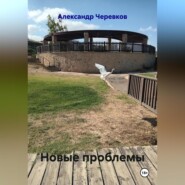 Новые проблемы