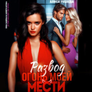 Развод. Огонь моей мести