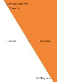 Открытое. Человек и животное