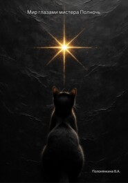 Мир глазами Мистера Полночь