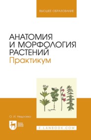 Анатомия и морфология растений. Практикум. Учебное пособие для вузов. 3-е издание, исправленное и дополненное