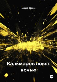 Кальмаров ловят ночью