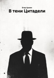 В тени Цитадели