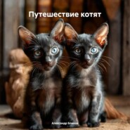Путешествие котят