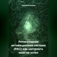 Ретикулярная активационная система (РАС): как настроить мозг на успех