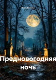 Предновогодняя ночь