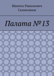 Палата №13