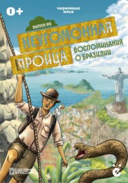 Неугомонная троица. Воспоминания о Бразилии
