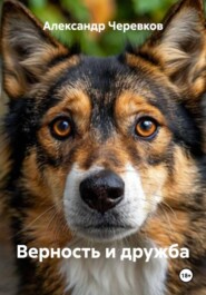 Верность и дружба