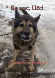 Ко мне, Пёс!