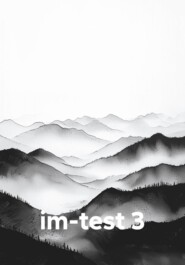 im-test 3
