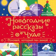 Новогодние рассказы о чуде. Соловей, который пел зимой