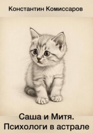 Саша и Митя. Психологи в астрале