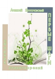 Первые шаги