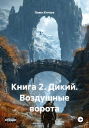Книга 2. Дикий. Воздушные ворота