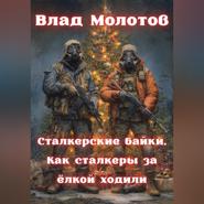 Сталкерские байки. Как сталкеры за ëлкой ходили