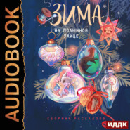 Зима на Полынной улице