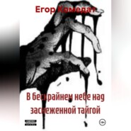 В бескрайнем небе над заснеженной тайгой