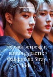Первая встреча и пламя страсти: Фанфик по Stray Kids