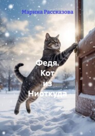 Федя. Кот из Ниоткуда
