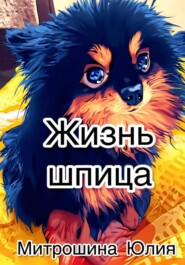 Жизнь шпица