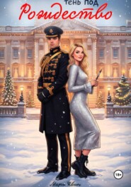 Тень под Рождество