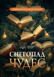 Волшебный переплёт. Снегопад чудес