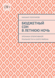 Бюджетный сон в летнюю ночь. Хроники оперативной реальности N-ского района