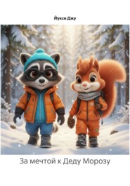 За мечтой к Деду Морозу