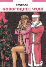Новогоднее чудо