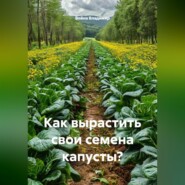 Как вырастить свои семена капусты?