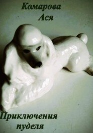 Приключения пуделя