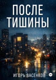 После тишины