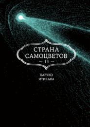 Страна самоцветов. Книга 13