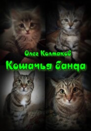 Кошачья банда