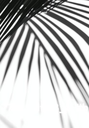 av-7724!_dfld3_#-#bs!5