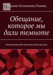 Обещание, которое мы дали темноте. Романтический мистический триллер