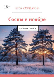 Сосны в ноябре. Сборник стихов
