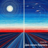 Два синих бушлата