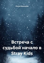 Встреча с судьбой начало в Stray Kids