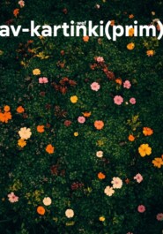 av-kartinki(prim)