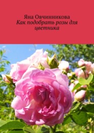 Как подобрать розы для цветника