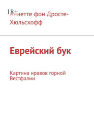 Еврейский бук. Картина нравов горной Вестфалии
